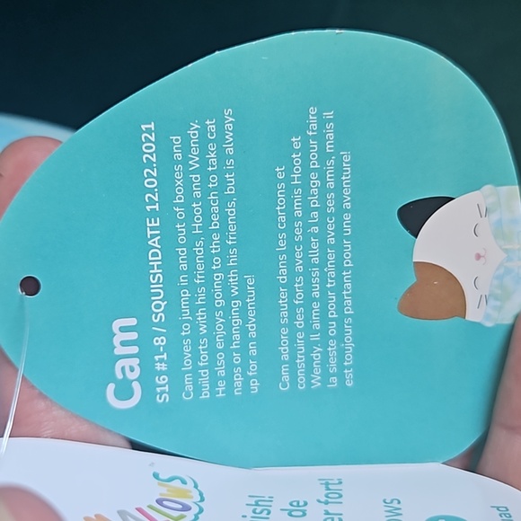 16" Cam Cat in Hoodie Squishmallow 2024 - Picture 6 of 6